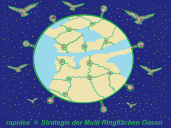 rapidea ® Strategie Multi Ringflächen Oasen